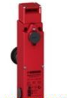 瑞士Reed浮球開關(guān)Reed液位變送器Reed接近開關(guān)