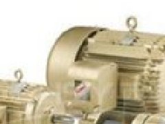 波蘭EMIT電機(jī)