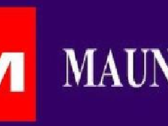 英國(guó)MAUN鉗子